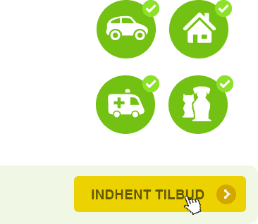 Sådan virker Forsikringsprotalen step 3 - tjek dine informationer og indsend